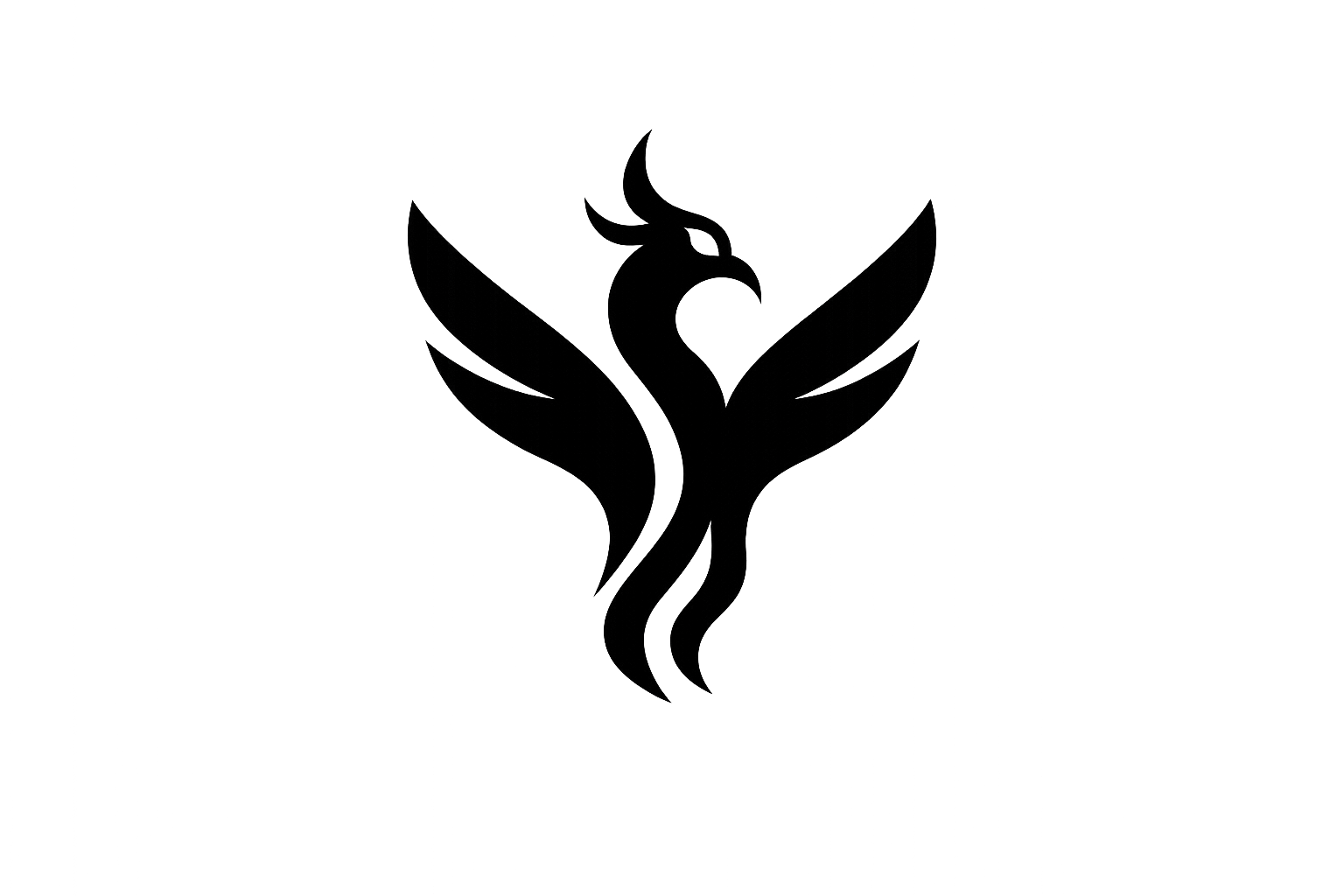 YMC OS